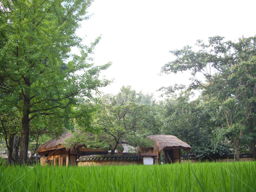 민속촌,민속마을,한국전통,전통,전통마을,한국문화,보존,한국의미,옛마을,village,nature,plant,자연,풍경,식물,korean,주거지,나무,traditional,culture,전통정원,outdoors,옥외,목초지,들,grassland