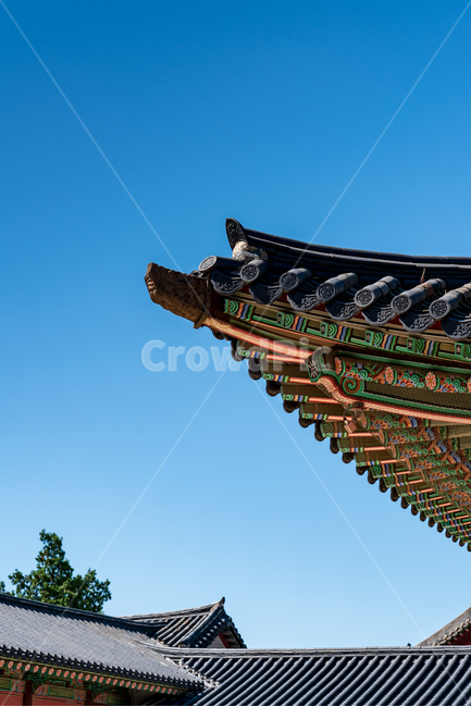 전통,경복궁,고궁,대한민국,서울,한옥,경치,야외,하늘,맑은,파란,구름,흰색,처마,곡선,지붕,기와,목조,목재,목조건물,문화재,조선시대,왕,정치,화려한,색깔,건축,조선,한적한,조용한,엄숙한,역사,한국전통,한국문화,korean traditional,korean culture,랜드마크,landmark,tourist attraction,한국랜드마크,한국관광지,한국명소,korea landmark,korea tourist attraction,건축물,건물외관,exterior,building,structure,architecture,construction