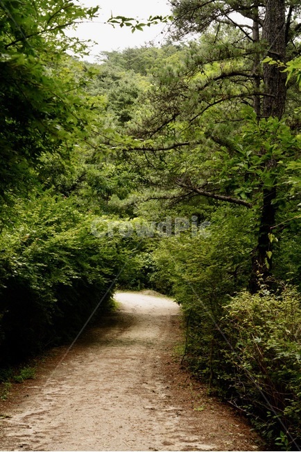 우이령길,북한산,서울,강북구,우이동,오솔길,mountain,path,seoul,summer,season