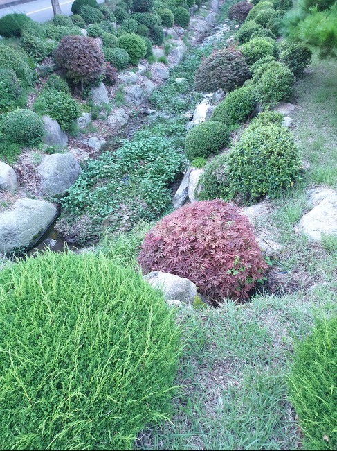 풍경,풀,나무,tree,자연