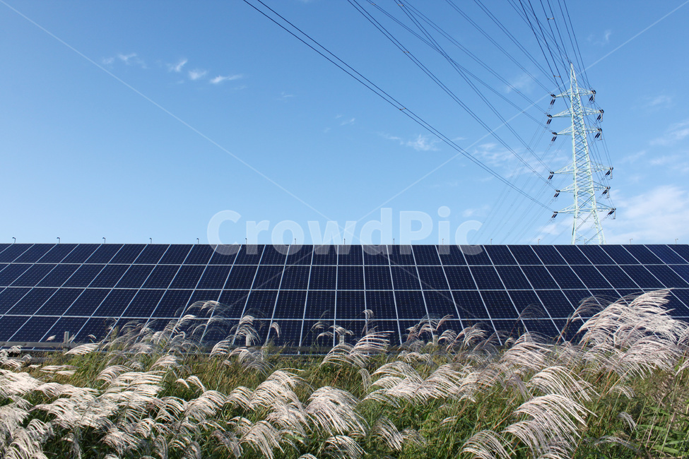 철탑,태양광,전력시설,전기에너지,태양광발전소,에너지산업,energy industry