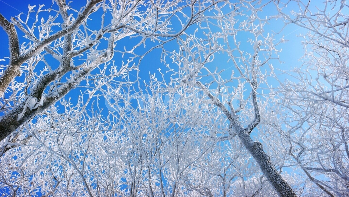 산,나무,겨울,하늘,눈,겨울,계절,winter,season,식물,자연,plants,nature,나무,trees,wood