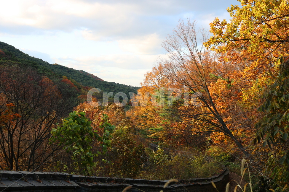 남한산성,산성,성벽,자연,풍경,가을,단풍,나무,공원,가을,계절,fall,autumn,season,tree,plant,식물,nature,outdoors,옥외
