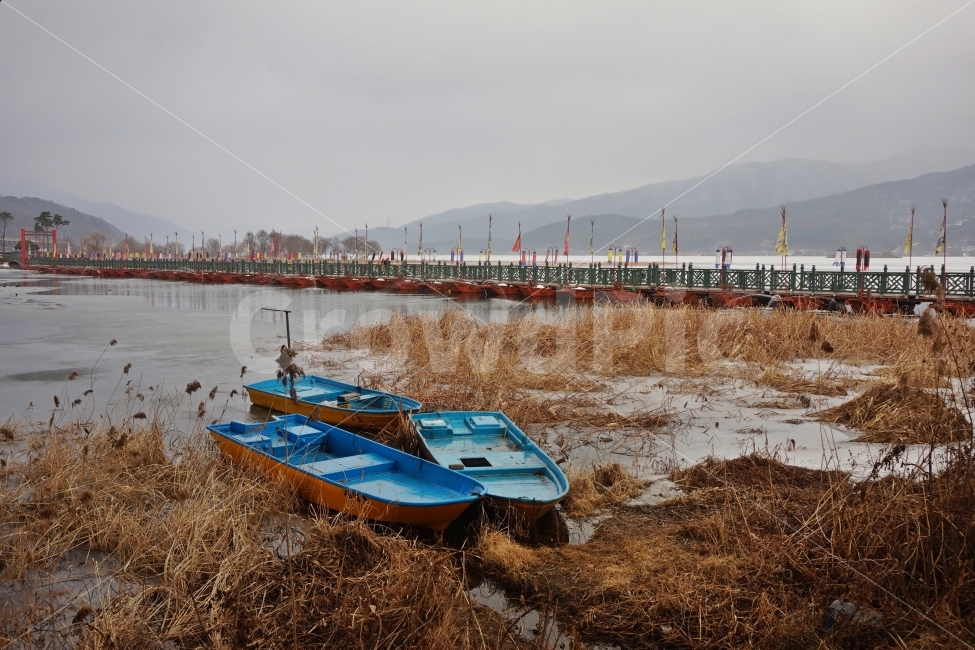 갈대,겨울,가을,경치,경관,양평,두물머리,사진,강,자연,풍경,nature,landscape,겨울,계절,winter,season,watercraft,선박,vehicle,차량,transportation,교통