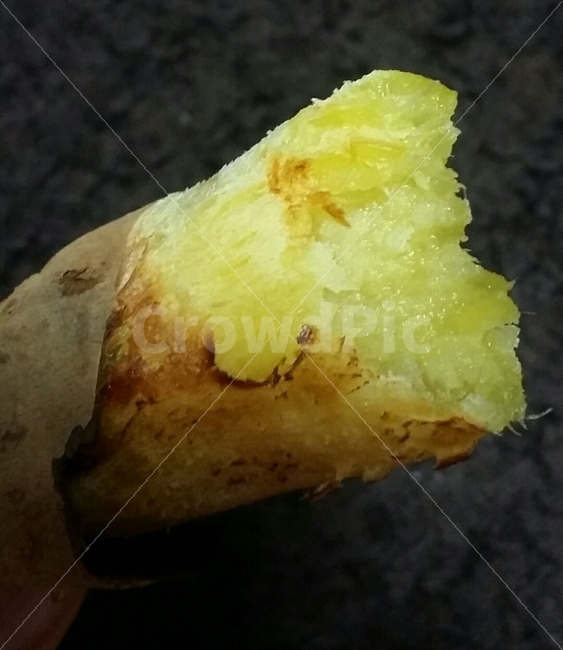 고구마,달콤함,맛,캠핑,밤,음식,식재료,요리,food,cook,meal,dishes,food reserves