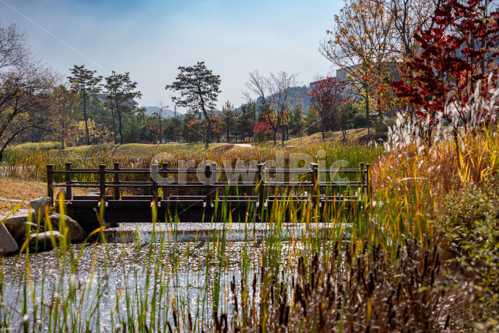 다리,자연,가을,따뜻함,감성,미니다리,가을,계절,fall,autumn,season,자연,풍경,nature,landscape,water,물,land,땅,outdoors,옥외