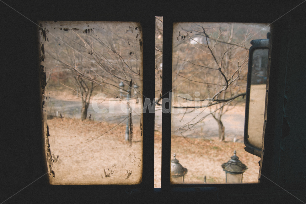 창문,겨울,나무,풍경,windows