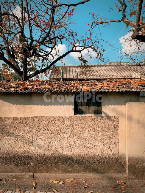 감성,마을,가을,풍경,추억,가을,계절,fall,autumn,season,건축물,건물외관,exterior,building,structure,architecture,construction