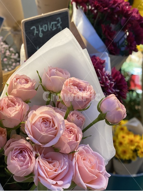 자연,부케,꽃다발,예쁜,감성,아름다운,풀,plant,식물,flower,flowerbouquet,꽃부케,flowerarrangement,꽃꽂이,blossom,꽃