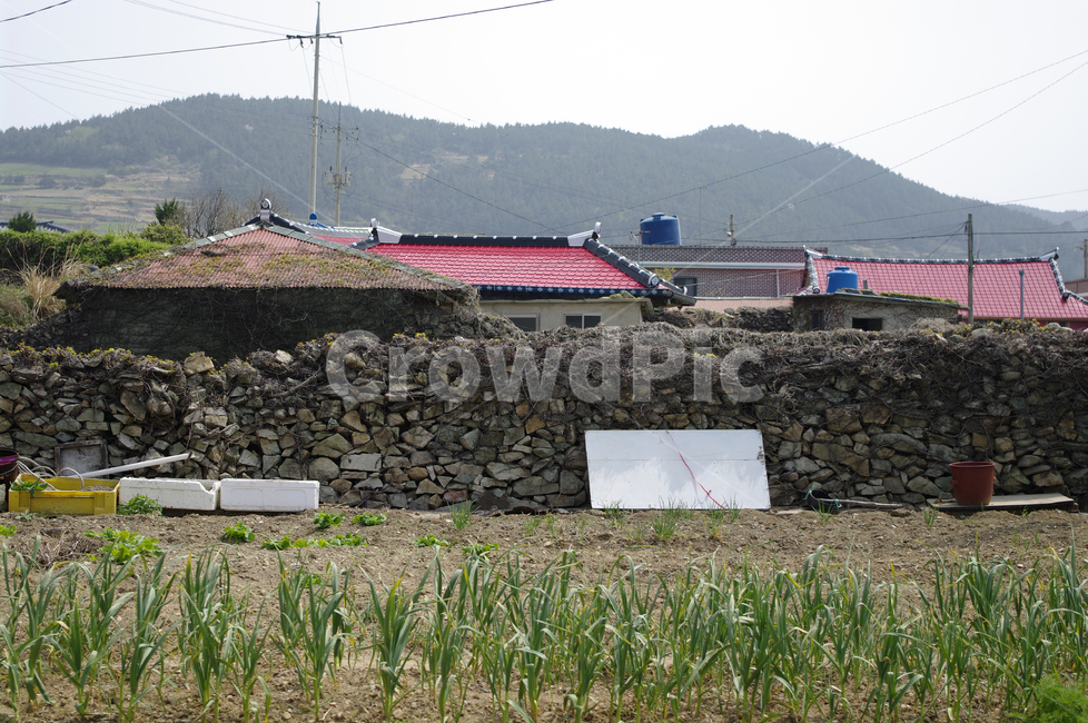 골목길,돌담길,돌담,집,시골,길,농촌,시골,마을,풍경,landscape,country,rural,town