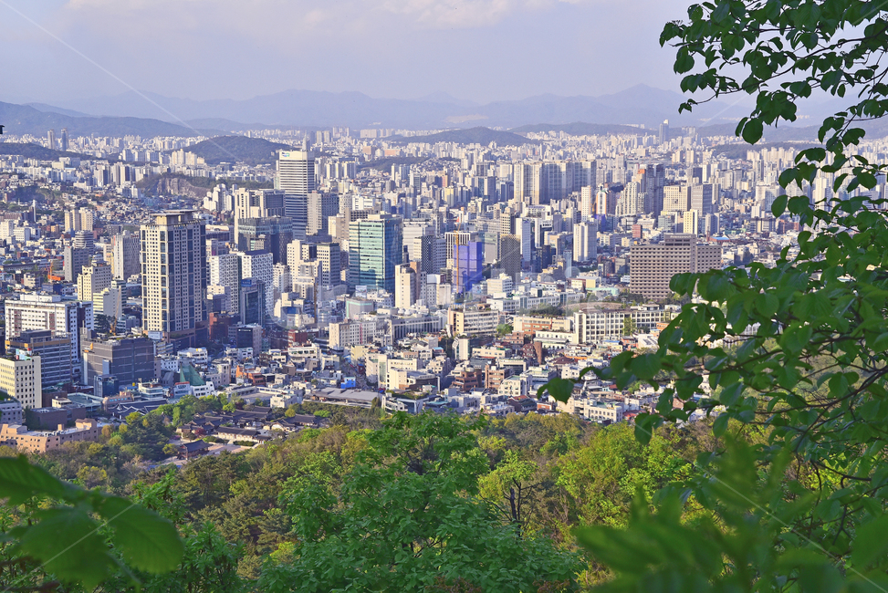 forest,city,concept,green space,skyline,scenery,building,view map,sight,land mark,landmark,big city,high rise building,business,metropolitan,town,metropolis,nature,high street,tree,seoul,outdoor,highrise,urban,outdoors,background,Korean urban landscape,la