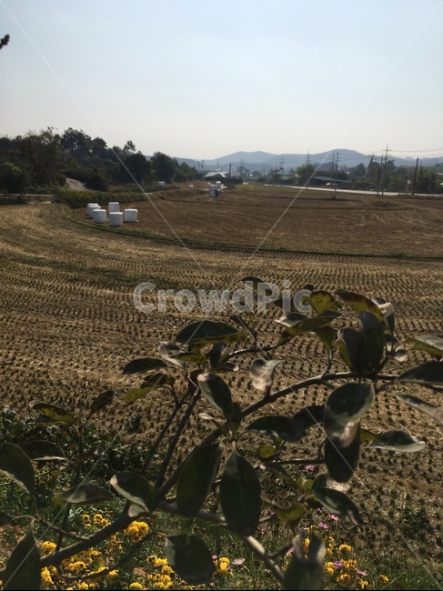 nature,자연,outdoors,옥외,풍경