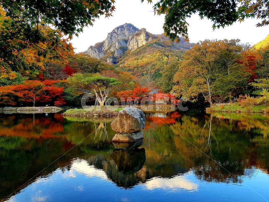 가을,백양사,단풍,자연,애기단풍,감성