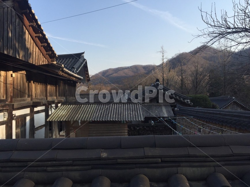 roof,지붕,전주,한옥,한옥마을
