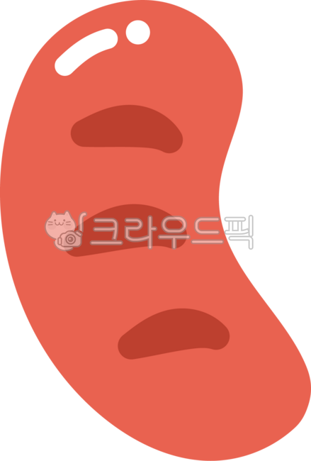 Sausage,sausage,string sausage,string sausage,Vienna sausage,Vienna sausage,ham,processed meat,processed food