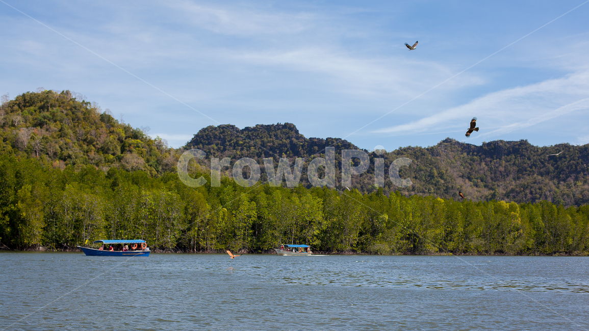 독수리,동남아,nature,자연,land,땅,vehicle,물,보트,ocean,sea,자연,풍경,nature,landscape