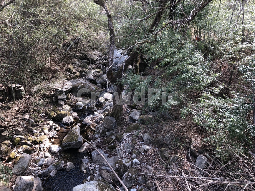 계곡,ground,바닥,돌,나무,겨울,winter