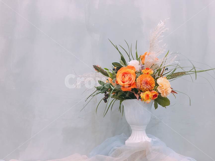 꽃,화분,꽃꽂이,장미,자연,식물,실내용화초,화분,화초,house plant