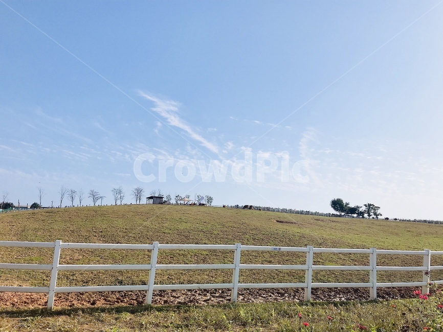 풍경,하늘,outdoors,자연,grassland