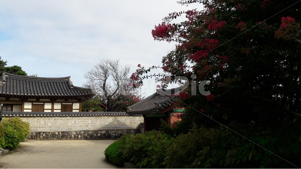 강원도,강릉,오죽헌,율곡이이,신사임당,한국전통,한국문화,korean traditional,korean culture,건축물,건물외관,exterior,building,structure,architecture,construction