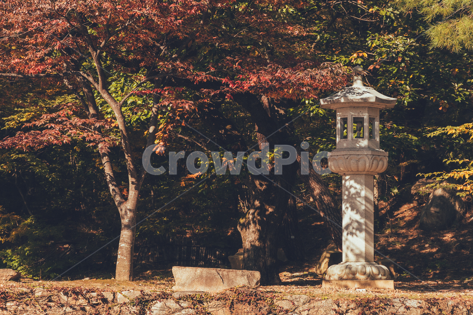 절,통도사,가을,단풍,낙엽,감성,가을,계절,fall,autumn,season,자연,풍경,nature,landscape,한국자연풍경,한국자연경관,korea nature landscape,plant,식물,tree,나무
