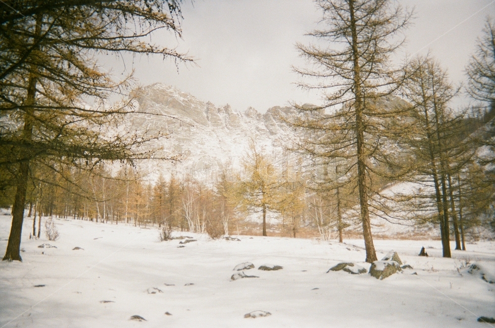 필름카메라,필름,film,자연,몽골,눈,설경,analogue,눈밭,snow,겨울,winter