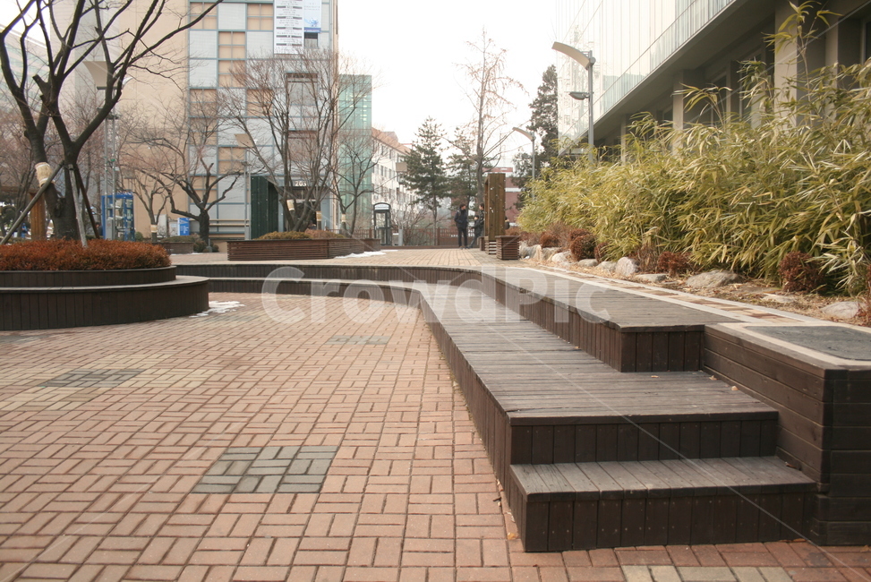 대학,의자,겨울,나무,쉼터,도시,풍경,city,landscape,한국도시풍경,한국도시경관,korea cityscape,flagstone,판석,path,통로
