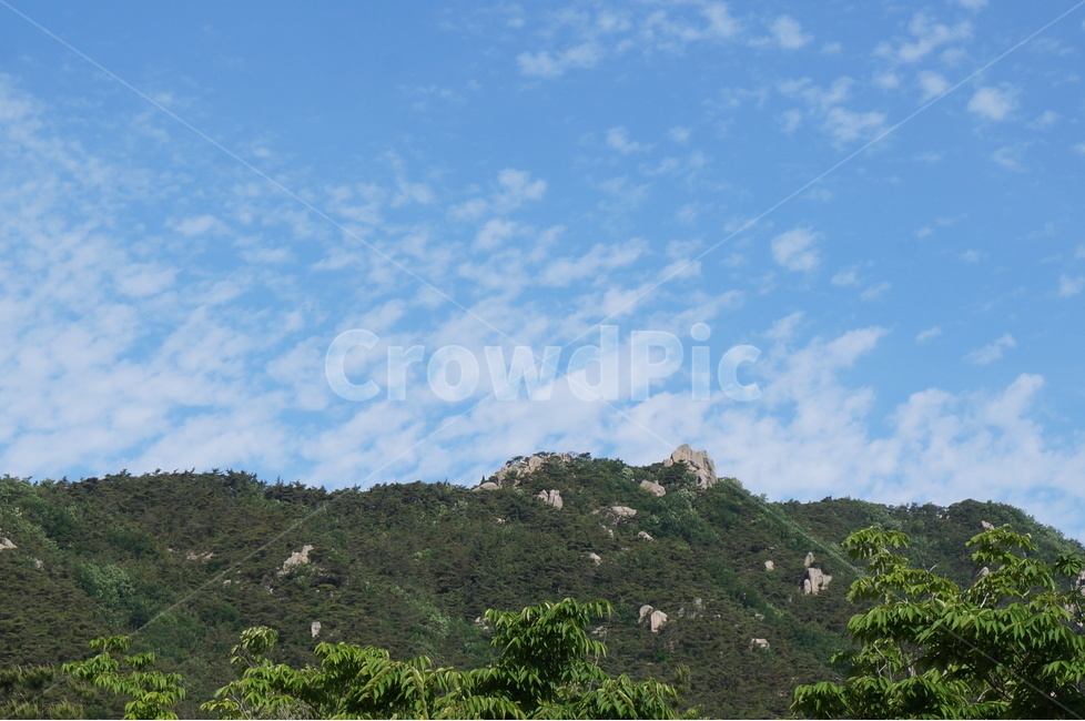 용봉산,하늘,구름,바위,봄,초록,자연,풍경,nature,landscape,한국자연풍경,한국자연경관,korea nature landscape,outdoors,옥외,vegetation,초목,plant,식물