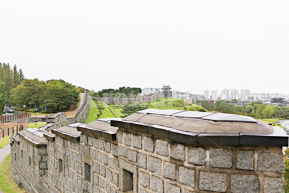 수원화성,성,성곽,길,둘레길,돌담,담,가을,자연,풍경,벽,방어벽,전통,식물,한국전통,한국문화,korean traditional,korean culture