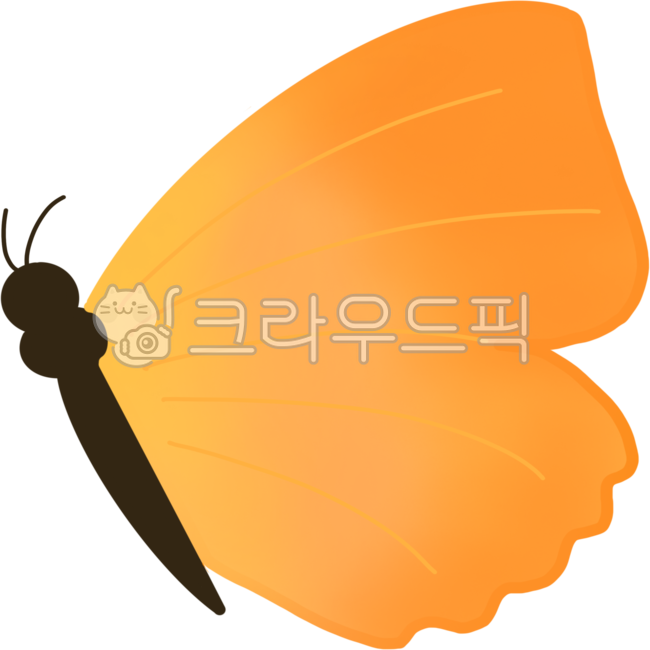 character,yellow butterfly,nature,butterfly,insect