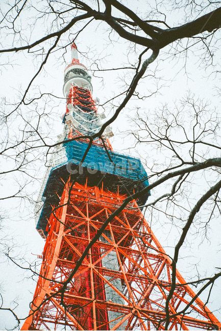 도쿄,도쿄타워,일본,빨간색,건축물,랜드마크,랜드마크,landmark,tourist attraction,해외,외국,세계,foreign,oversea,world,세계랜드마크,해외랜드마크,외국랜드마크,world landmark,world tourist attraction,건축물,건물외관,exterior,building,structure,architecture,construction,tower,탑,건물,steeple,뾰족한 탑,spire,첨탑