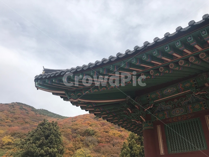한국,전통,처마,절,기와,한국전통,한국문화,korean traditional,korean culture,건축물,건물외관,exterior,building,structure,architecture,construction