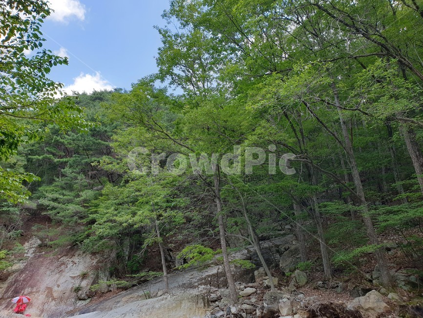 산,구름,파랑,bluesky,녹색초록,green,자연풍경,여름,나무,숲