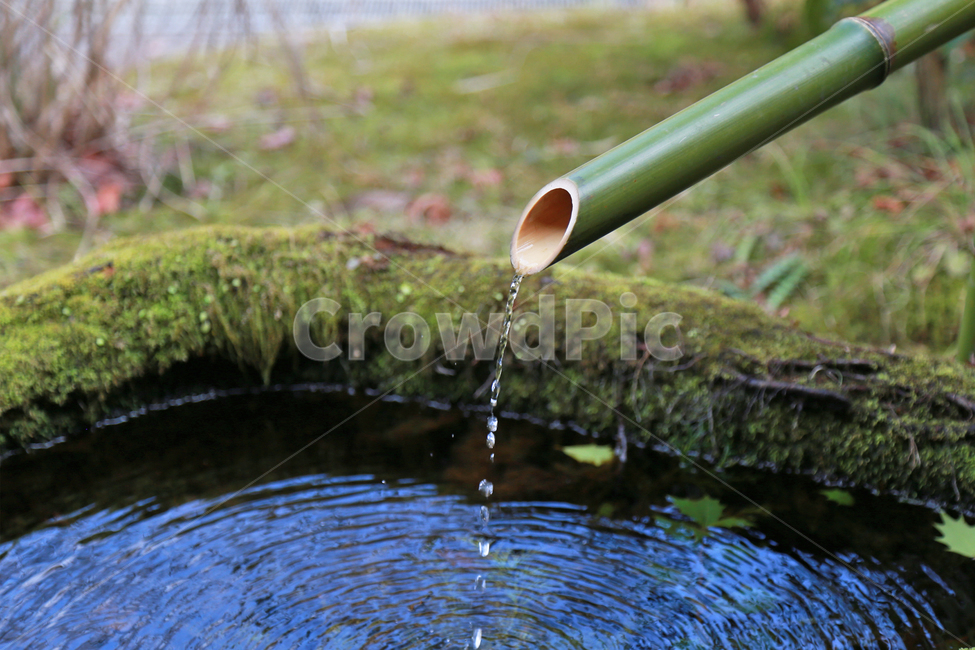 샘물,샘,샘터,물,대나무샘물,waterdrops,drops,bamboopipe,물방울,물줄기,자연,풍경,nature,landscape,outdoors,옥외