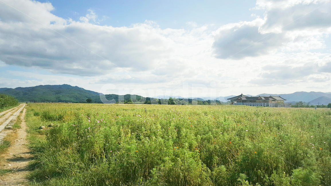 ground,초원,하늘,지평선,오솔길,trail,skyline,horizon,path,녹지,자연,풍경,nature,landscape,outdoors,옥외,grassland,목초지,field,들,farm,농장,rural,농촌
