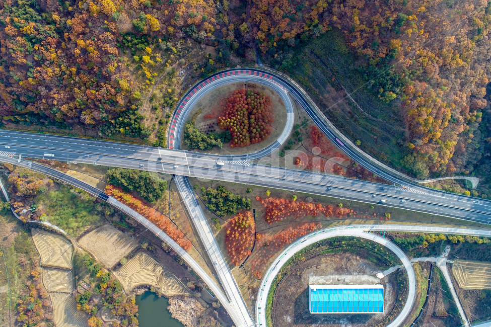 road name,autumn,highway,interchange,Maple