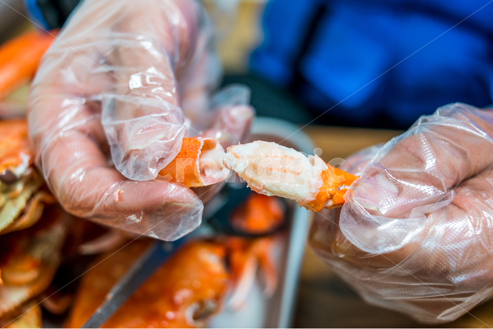 홍게,게,꽃게,랍스터,식품,해물,해산물,홍게찜,크랩,crab,braisedredcrab,redsnowcrab,음식,식재료,요리,food,cook,meal,dishes,food reserves,수산물,해산물,fishery products,seafood