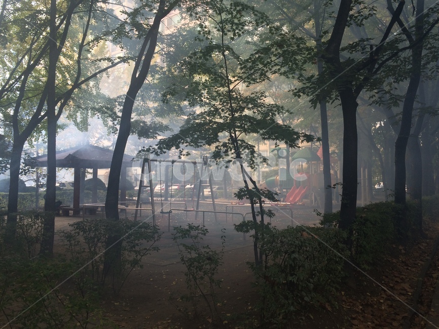 plant,식물,tree,나무,놀이터,연기,playground,smoke