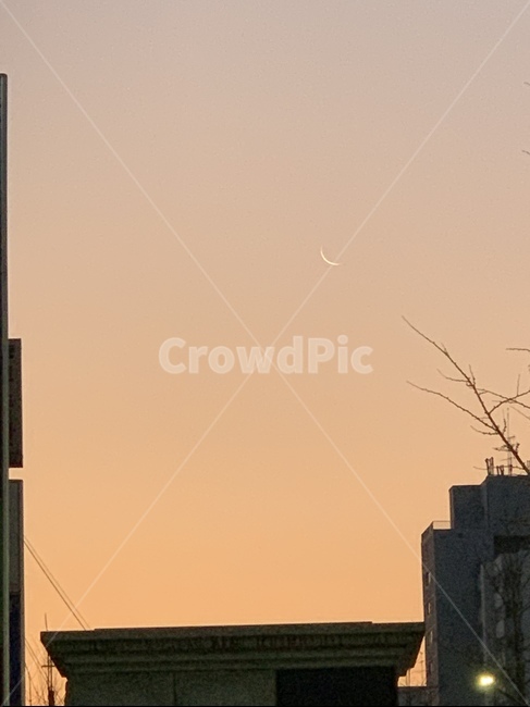 노을,초승달,건물들,나무,조명