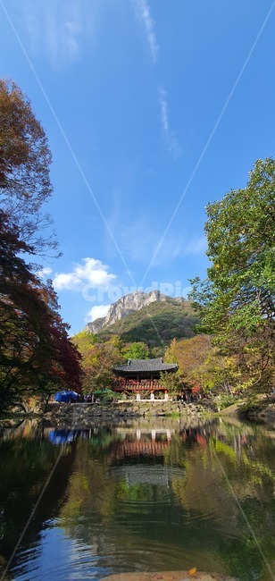 산,100대명산,단풍,백양사,나무,가을산,자연,푸른,하늘,백암산,바위,등산,구름,nature,outdoors,mountain,산맥,물