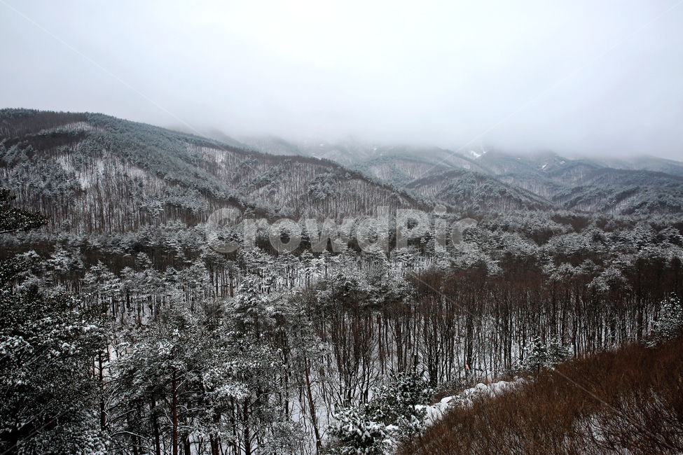 자연,풍경,눈,산,눈산