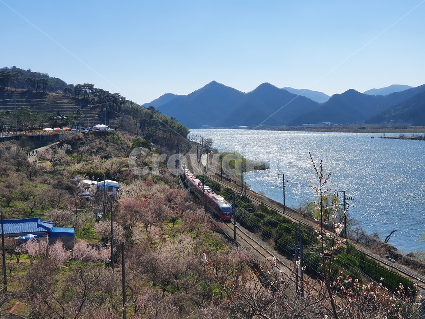 nature,자연,outdoors,옥외,기찻길,철도,레일,낙동강