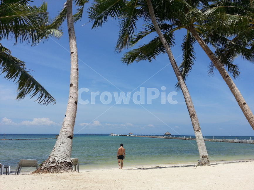 해변,세부,뒷모습,비치,beach,cebu