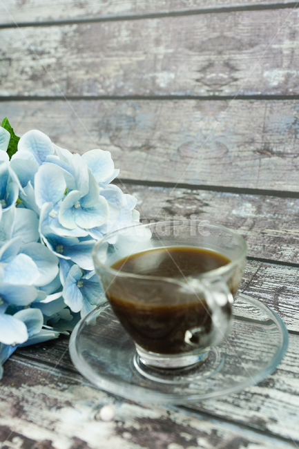 꽃,커피,차한잔,차잔,카페,커피,카페,coffee,cafe