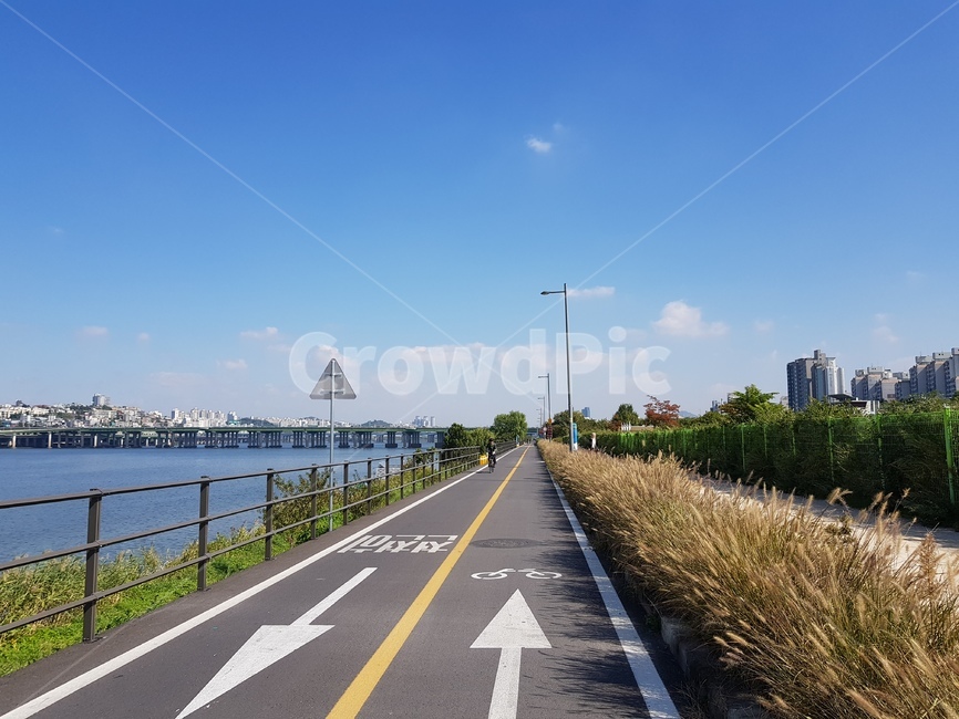 자전거도로,강,road,도로,asphalt,아스팔트,tarmac,타맥,freeway,highway,고속도로,한강,강변,자전거,bicycleroad,가을,가을풍경,갈대,들꽃,sky,하늘,fall,autumn,river,화살표,arrow,한국도시풍경,한국도시경관,korea cityscape
