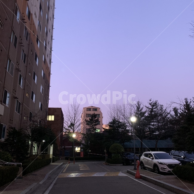 하늘,야경,건물,해,road