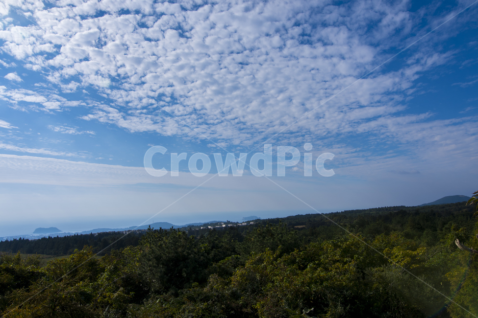 자연,풍경,하늘,구름,파랑,바람,평안,겨울,제주,제주도,자연,풍경,nature,landscape,outdoors,옥외
