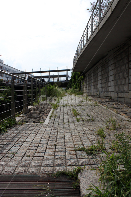 walkway,pavement,보도,거리,길,잡초,공원길