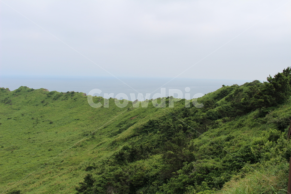 바다,제주도,성산일출봉,화산,초원