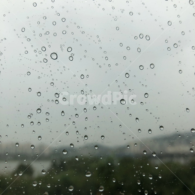물방울,비,빗방울,물,자연,풍경,배경화면